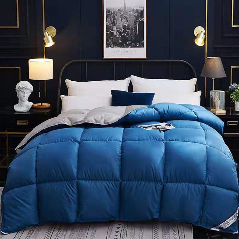 Down Duvet, Winter Duvet, Goose Down Duvet Core, Air Conditioner